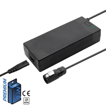 Premium 52 V Ladegerät für DUALTRON Mini