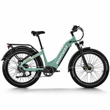 Zebra Fat E-Bike
