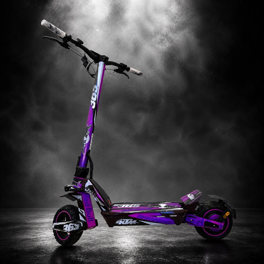 Deimos DGT Ecoxtrem Elektroroller, Einzelmotor