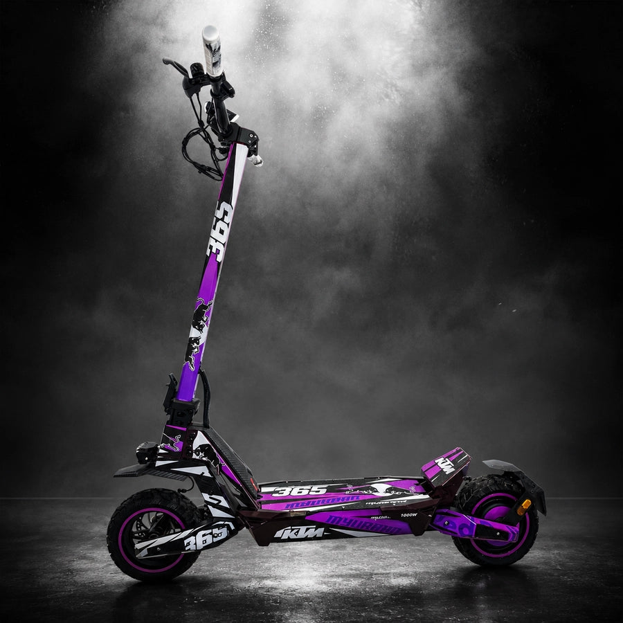Deimos DGT Ecoxtrem Elektroroller, Einzelmotor